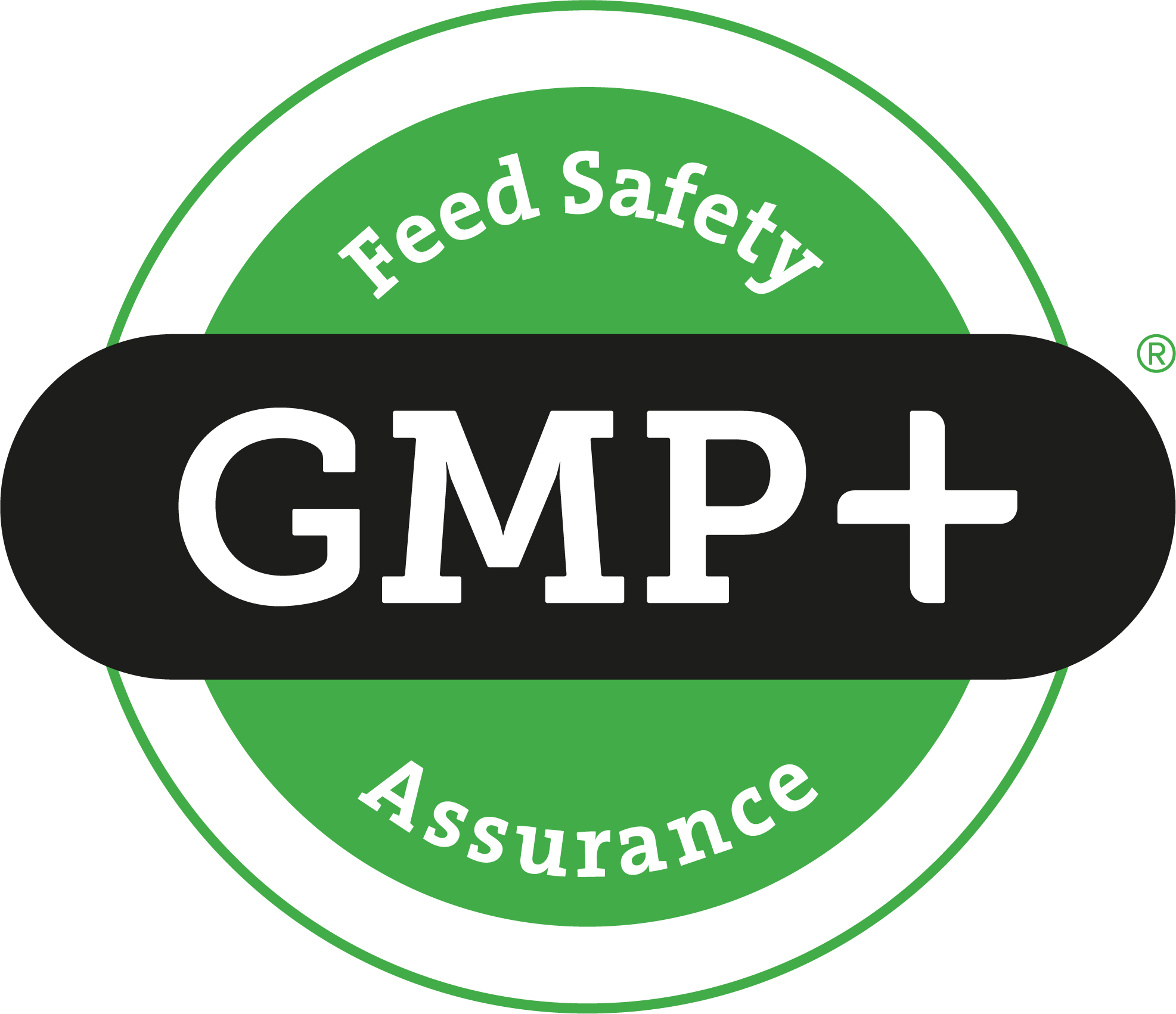 GMP FSA logo